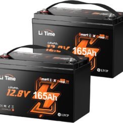 LiTime 12V 165Ah Lithium Battery for Trolling Motors, Marine, RV(2 Pack) Review — Is It Worth It?